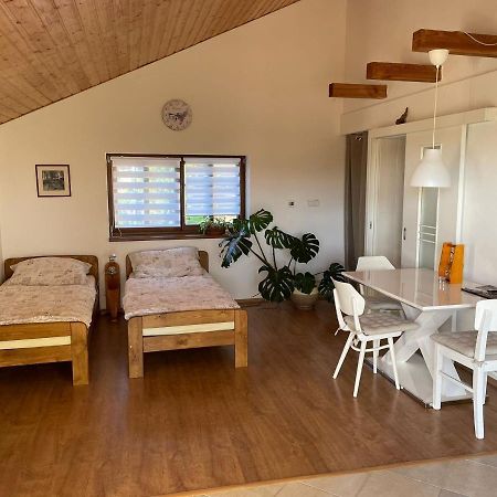Apartmán v podhůří Jizerských hor Zelezny Brod Exterior foto